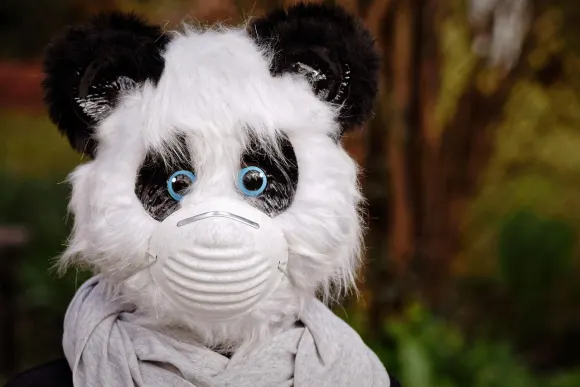 Unibet Kaszinó Támogatás